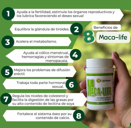 Kit Lifehuni Divi Her + Maca Life Té Verde Cápsulas Veganas X60 Natural