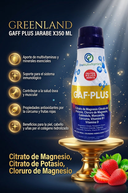 GAFF PLUS JARABE X350 ML GREENLAND ia_2