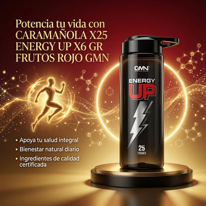 CARAMAÑOLA X25 ENERGY UP X6 GR FRUTOS ROJO GMN ia_3