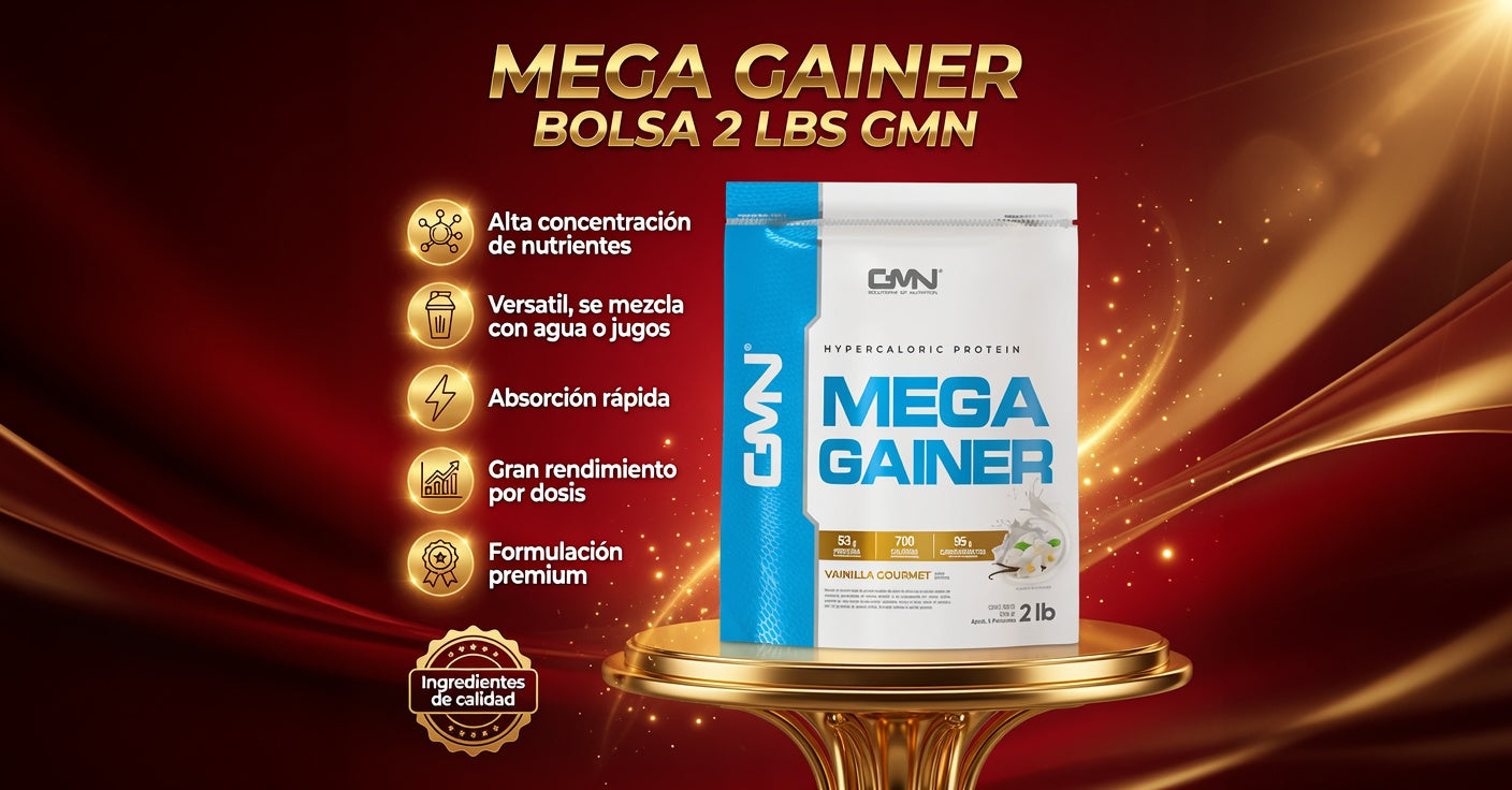 MEGA GAINER BOLSA  2 LBS GMN ia_2