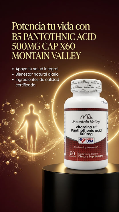 B5 PANTOTHNIC ACID 500MG CAP X60 MONTAIN VALLEY ia_3