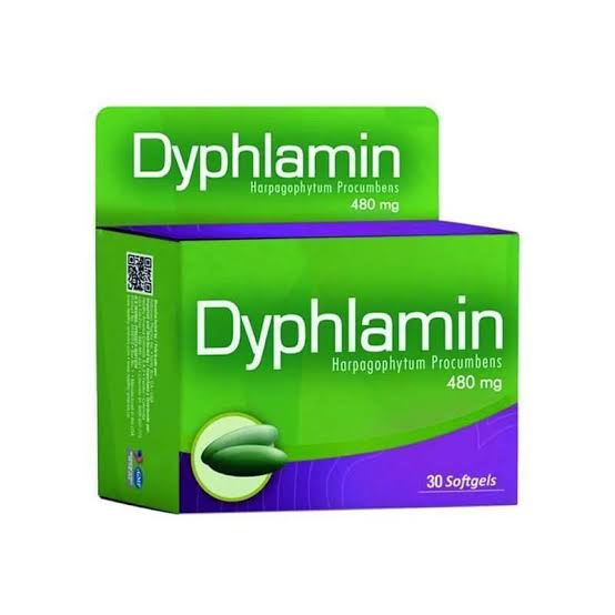 DYPHALMIN 480 MG X30 SOF HEALTHY AMERICA principal