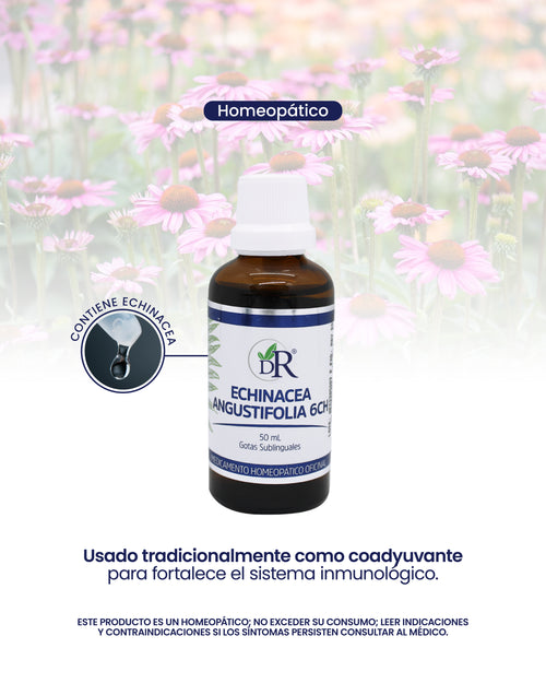ECHINACEA PUROUREA 250 MG X100 CAP HEALTHY AMERICA principal