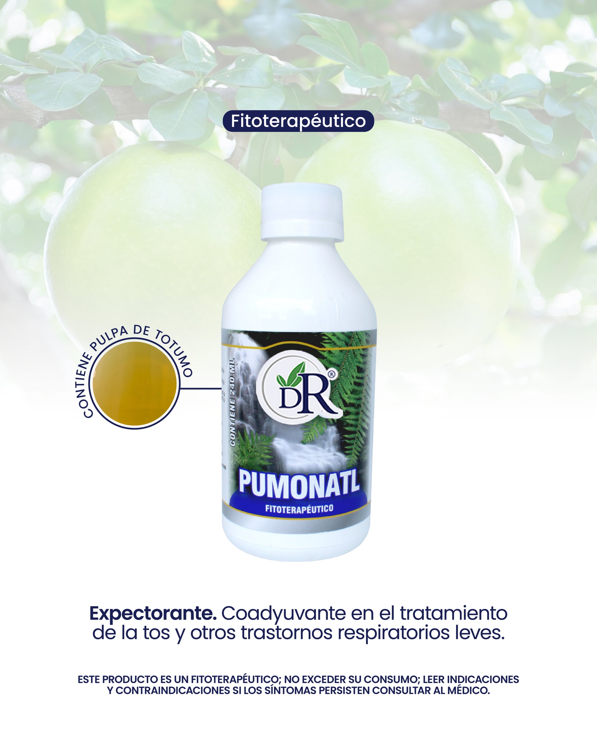 PULMONATL X240 ML DR ROJAS principal