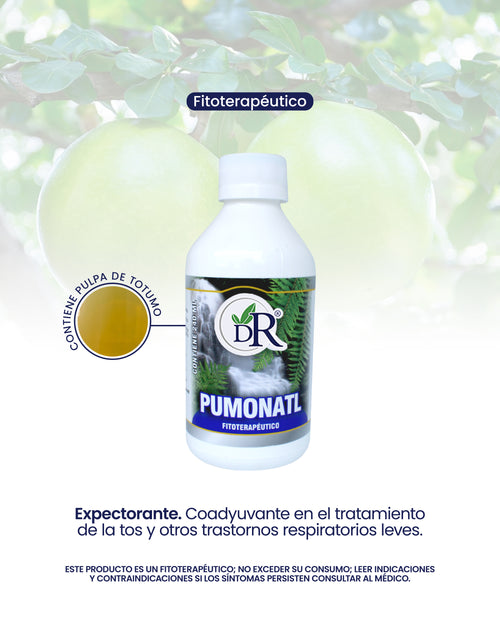 PULMONATL X240 ML DR ROJAS principal