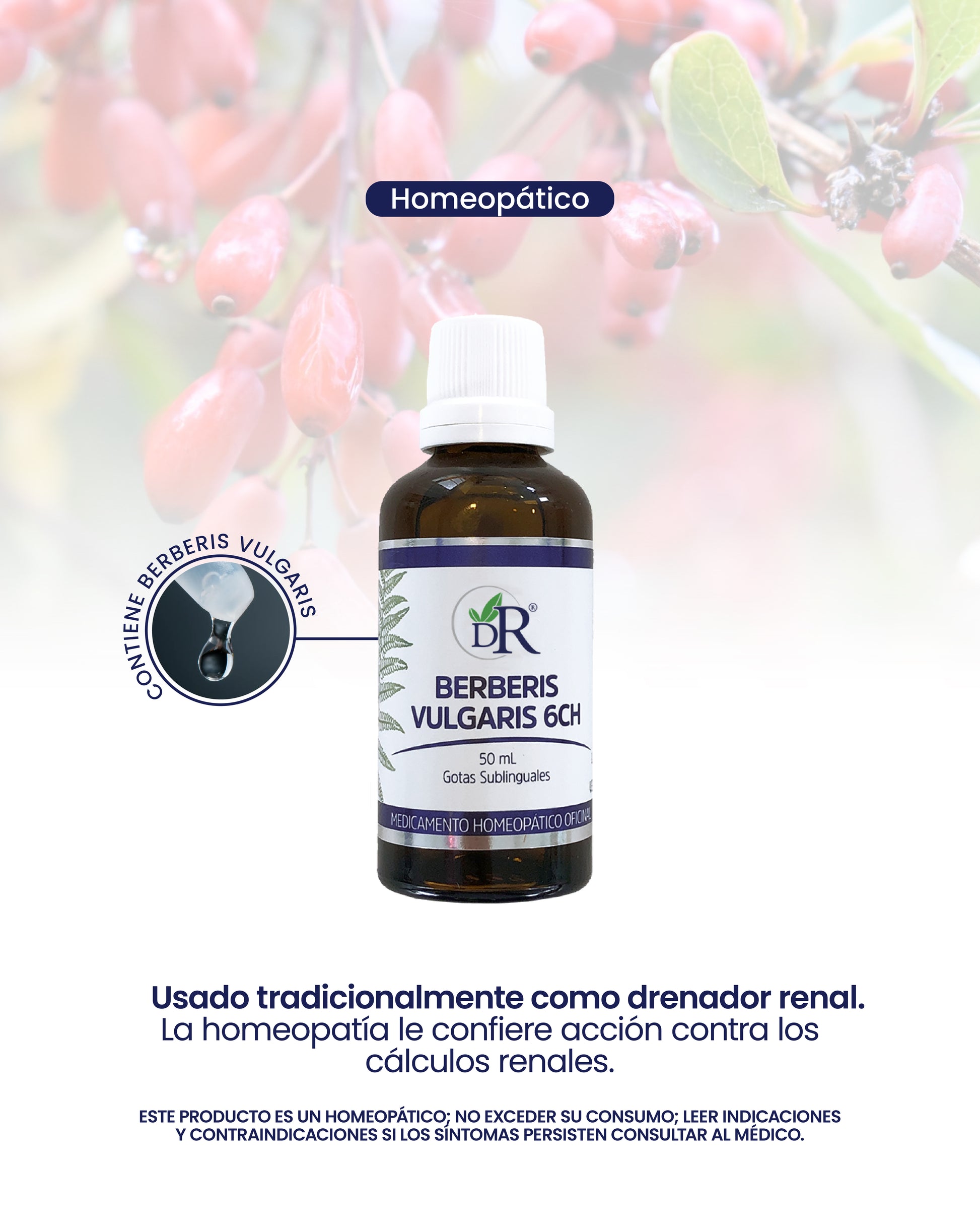BERBERIS X50 ML DOCTOR ROJAS principal