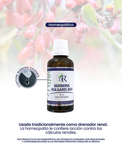 BERBERIS X50 ML DOCTOR ROJAS principal