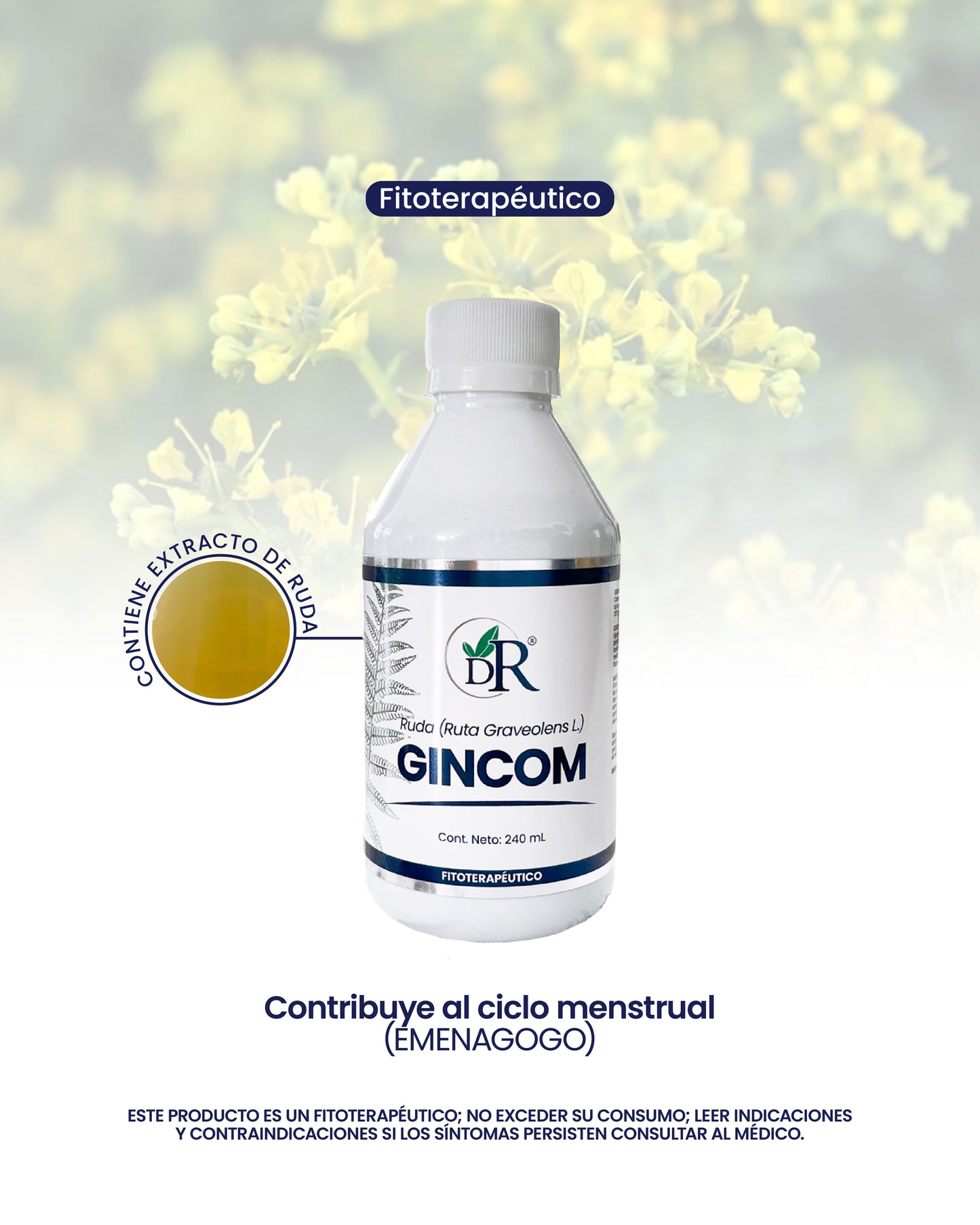 GINCOM JARABE X240 ML DOCTOR ROJAS principal