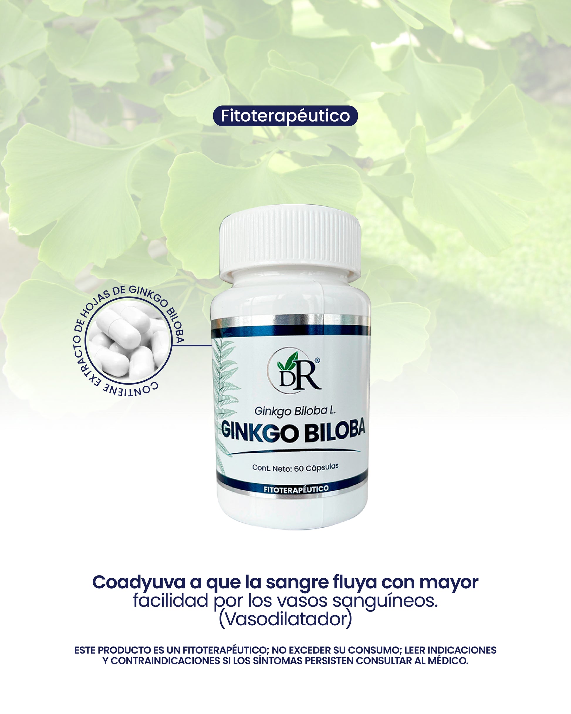 GINKGO BILOBA X60 CAPS. DOCTOR ROJAS principal