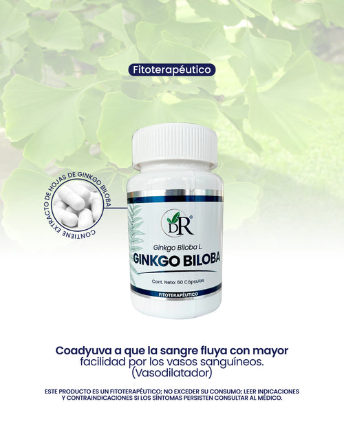 GINKGO BILOBA X60 CAPS. DOCTOR ROJAS principal