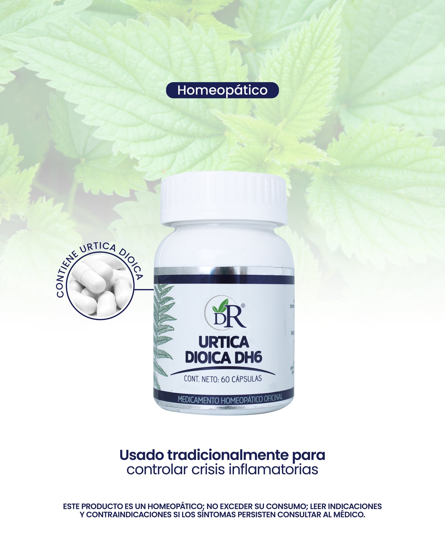 URTICA DIOICA CAP X60 DOCTOR ROJAS principal
