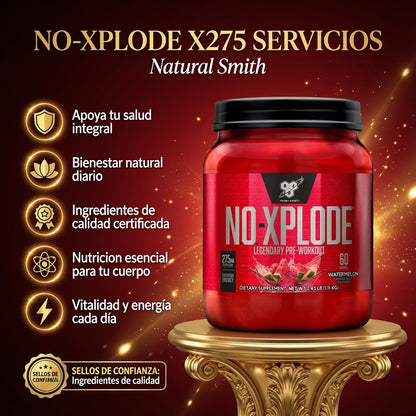 NO-XPLODE X275 SERVICIOS ia_2