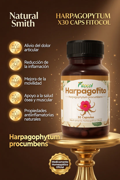 HARPAGOPYTUM X30 CAPS FITOCOL ia_2