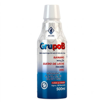 GRUPO B JARABE X500 ML NT LABS principal