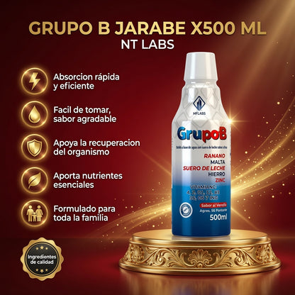 GRUPO B JARABE X500 ML NT LABS ia_2