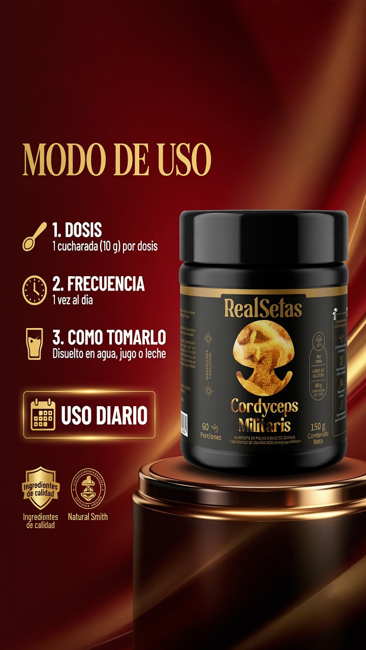CORDYCEPS MILITARIS X150 GR. REALSETAS ia_4