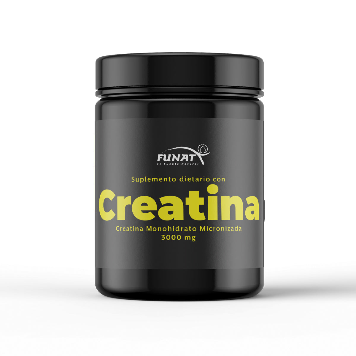 CREATINE X300 GR. ESSENTIALS principal