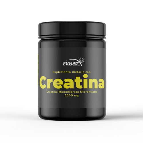 CREATINE X300 GR. ESSENTIALS principal
