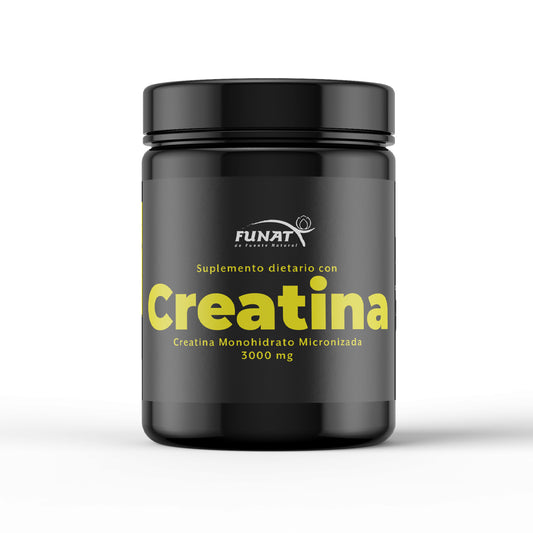 CREATINE X300 GR. ESSENTIALS principal