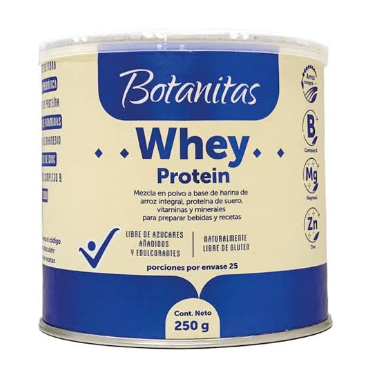 WHEY PROTEIN X260 GR MEDICK principal