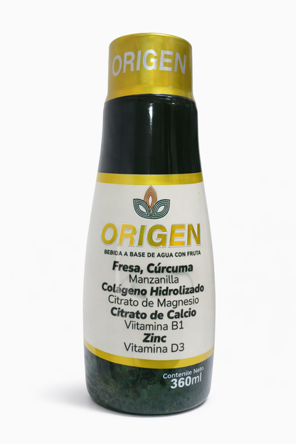 ORIGEN X360 ML JARABE principal