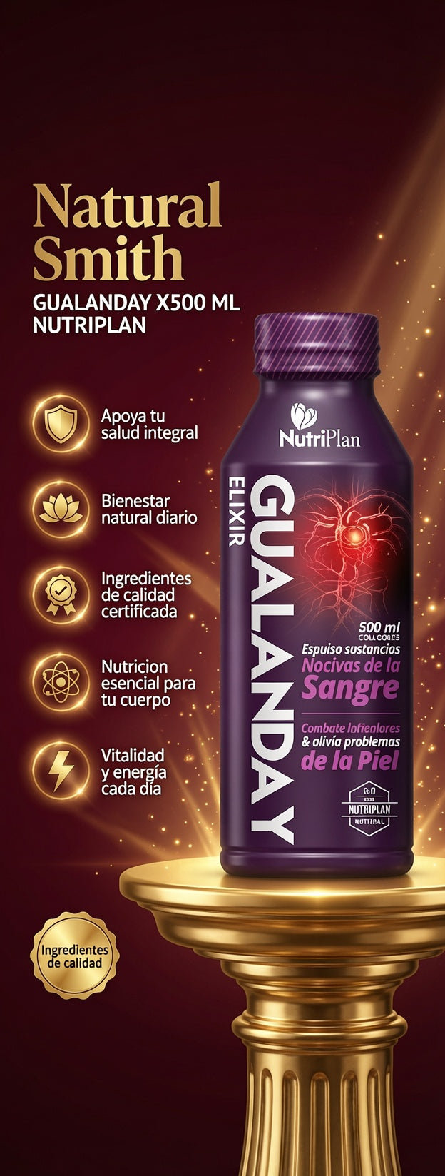 GUALANDAY  X500 ML NUTRIPLAN ia_2