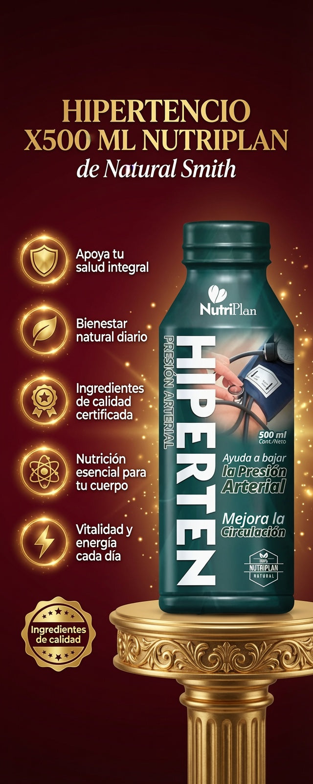 HIPERTENCIO  X500 ML NUTRIPLAN ia_2