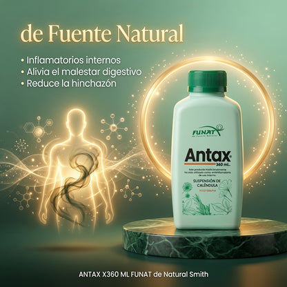 ANTAX X360 ML FUNAT ia_3
