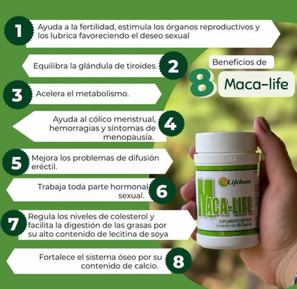 Kit Lifehuni Divi Her + Maca Life Té Verde Cápsulas Veganas X60 Natural