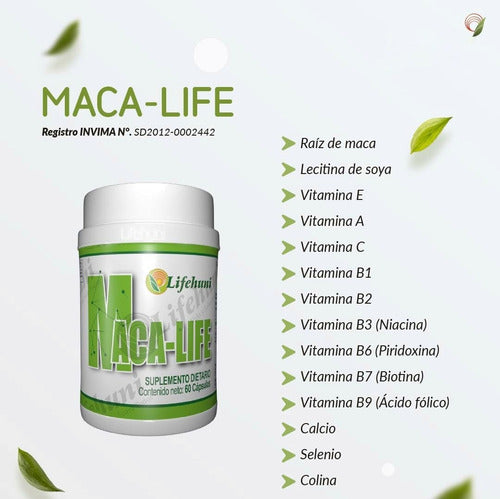 Kit Lifehuni Divi Her + Maca Life Té Verde Cápsulas Veganas X60 Natural