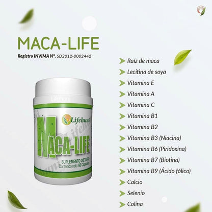 Kit Lifehuni Divi Her + Maca Life Té Verde Cápsulas Veganas X60 Natural