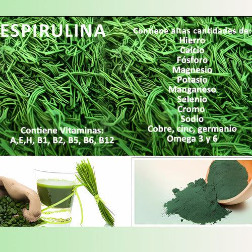 Espirulina Micro Alga 1000mg- Invima Sabor