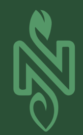 Ns naturales 
