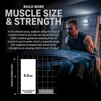 Creatina Monohidratada Muscletech Essential Series | Fuerza y Músculo – 400g