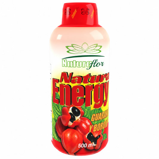 NATURA ENERGY JARABE X 500 ML NATURA FLOR · Imagen principal