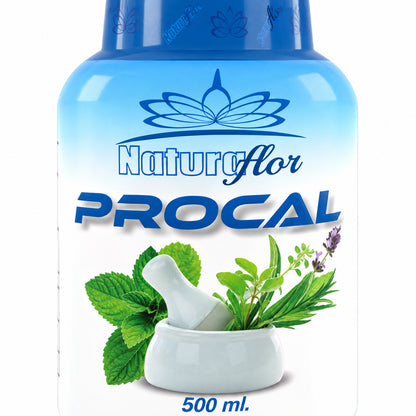 PROCAL JARABE 500ML NATURA FLOR · Detalle de producto