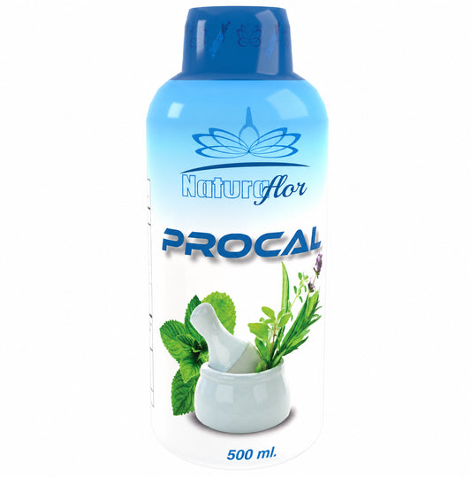 PROCAL JARABE 500ML NATURA FLOR · Imagen principal