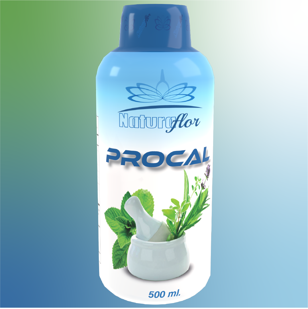 PROCAL JARABE 500ML NATURA FLOR · Imagen original de proveedor