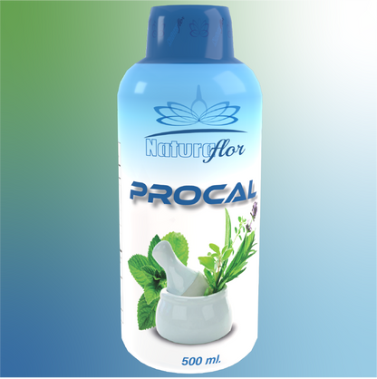 PROCAL JARABE 500ML NATURA FLOR · Imagen original de proveedor
